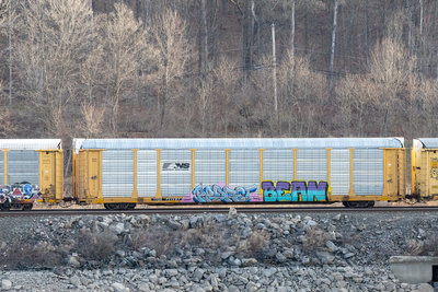 TTGX 711197