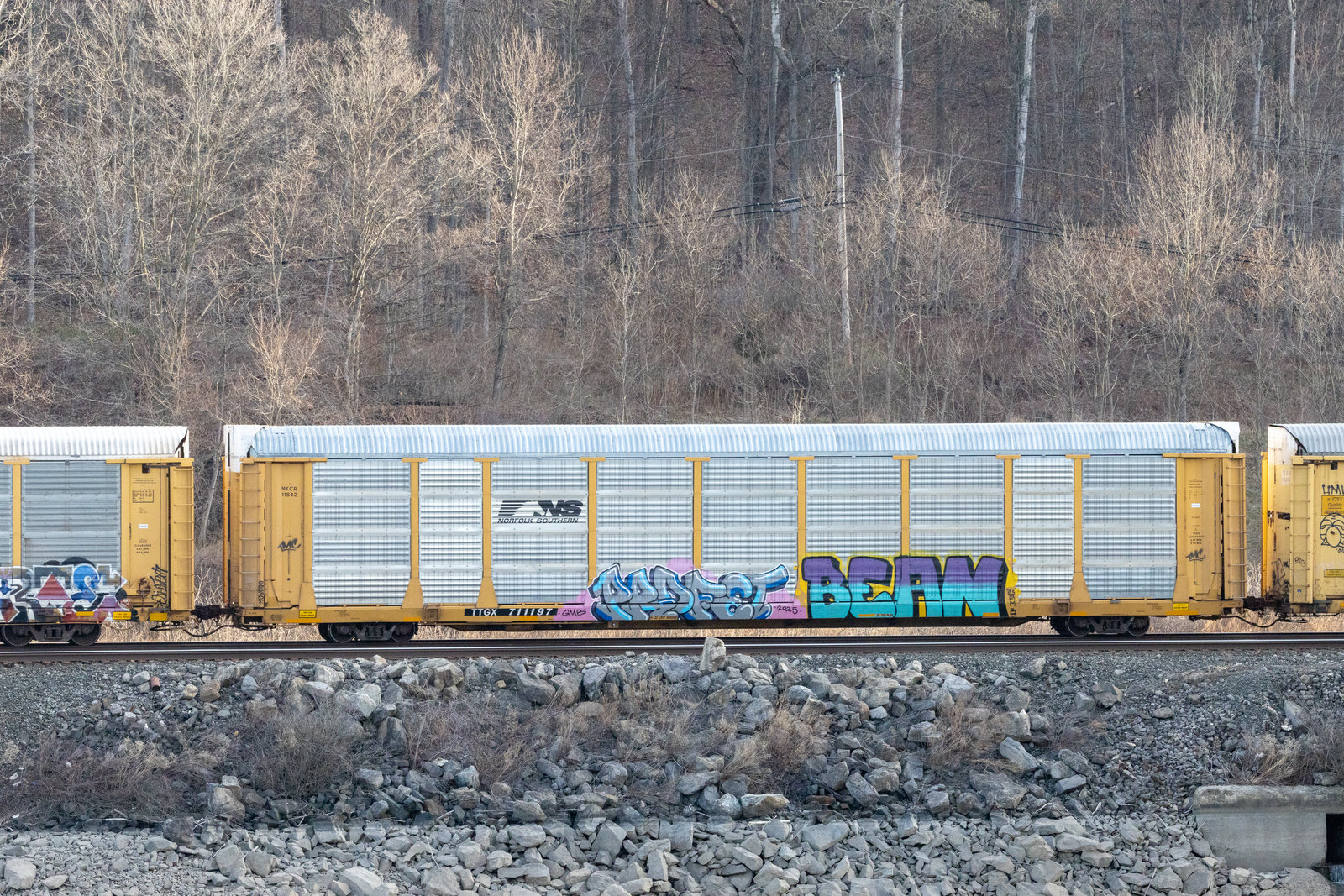 TTGX 711197