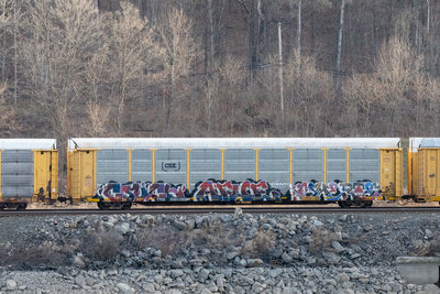TTGX 990392