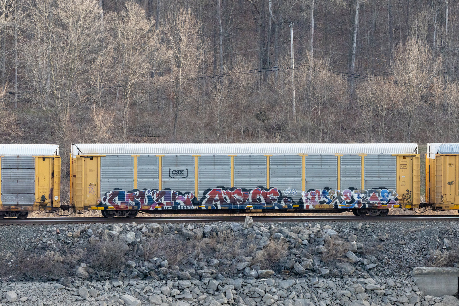 TTGX 990392