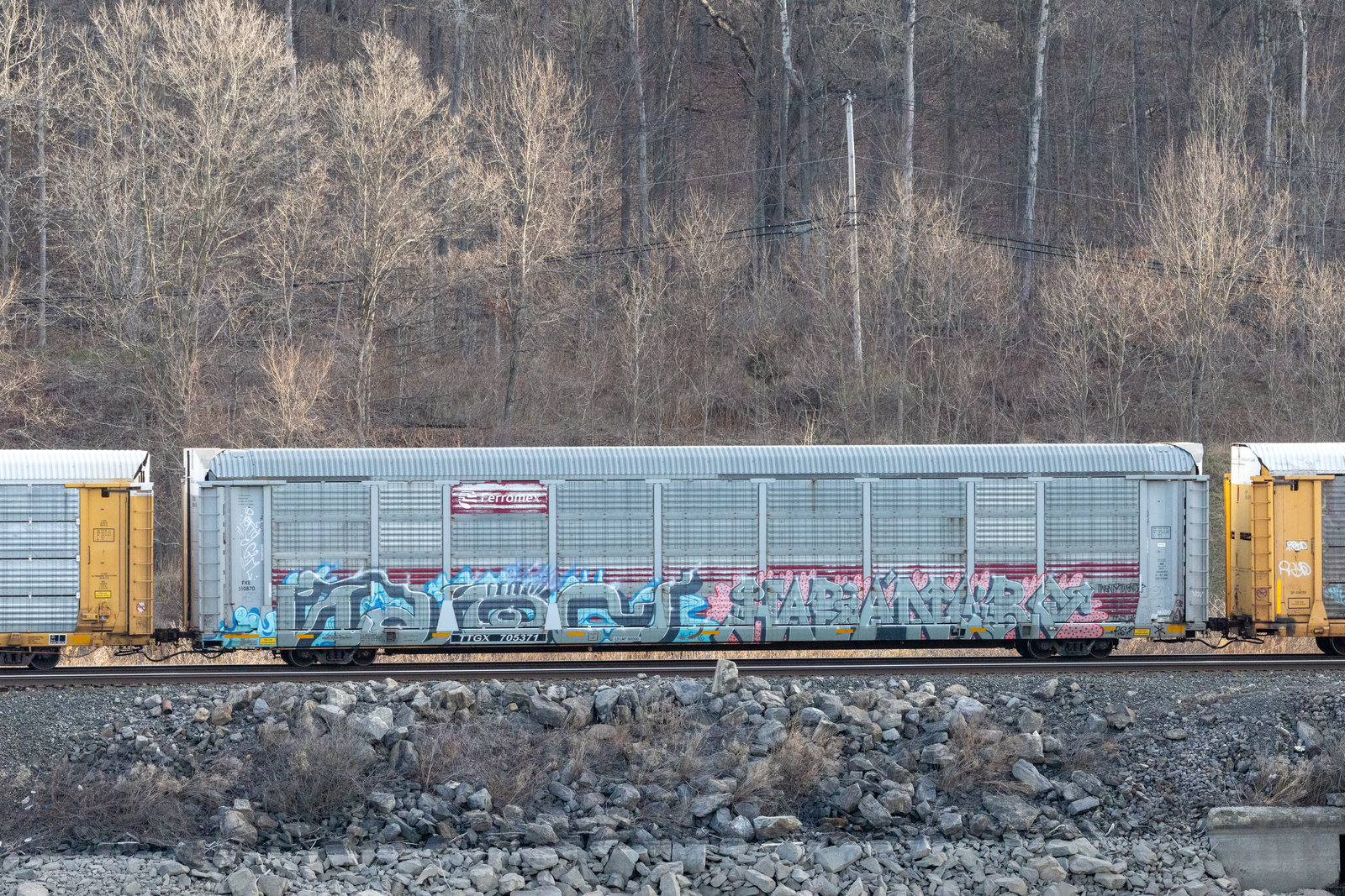 TTGX 705371