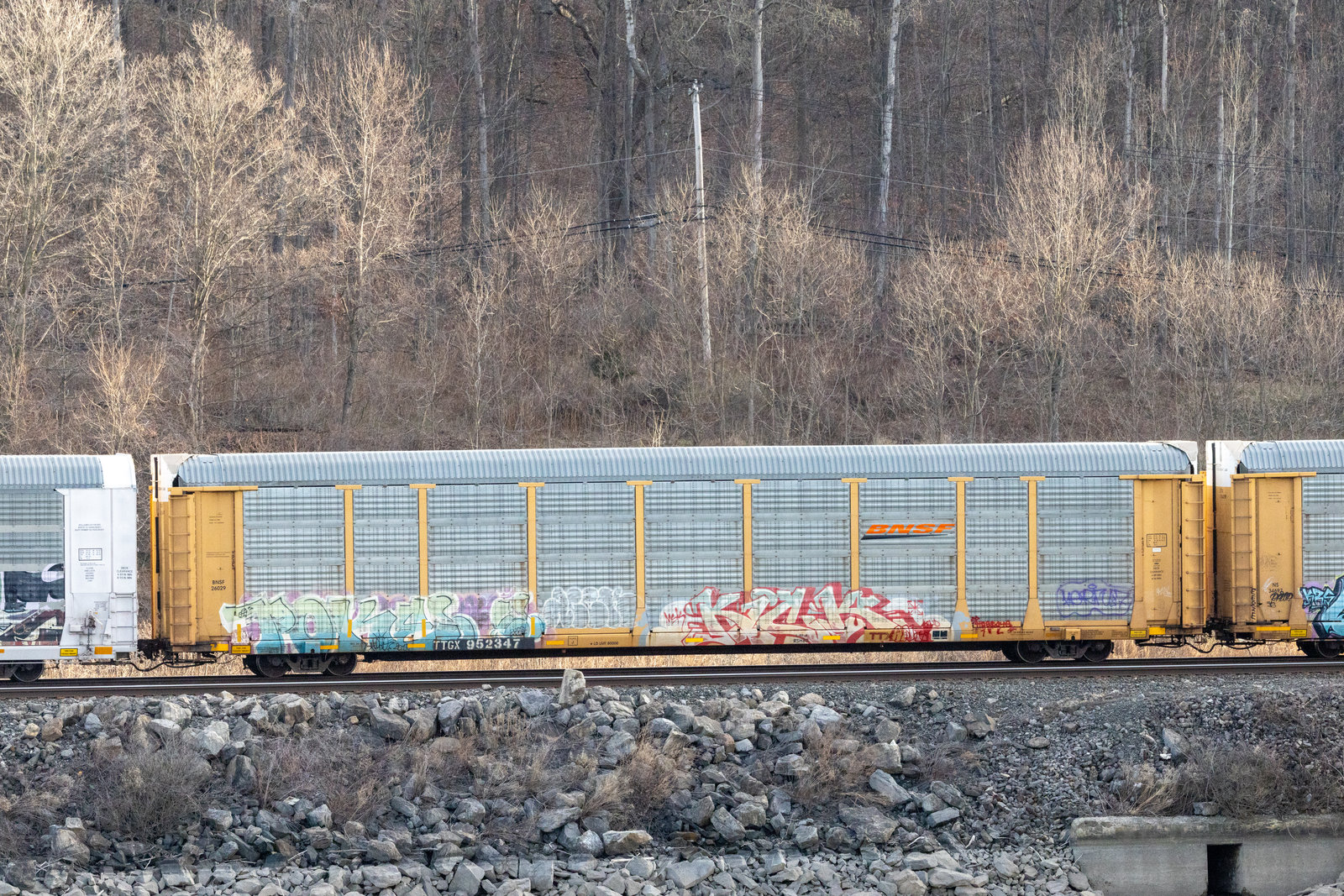 TTGX 952347