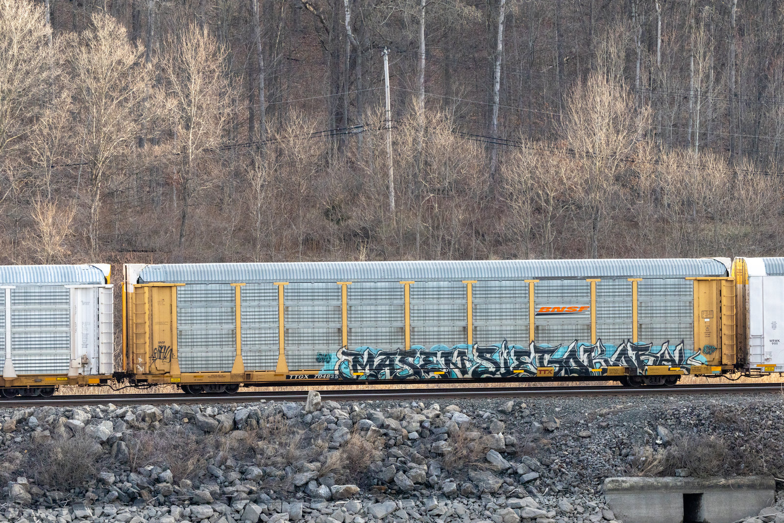 TTGX 704835