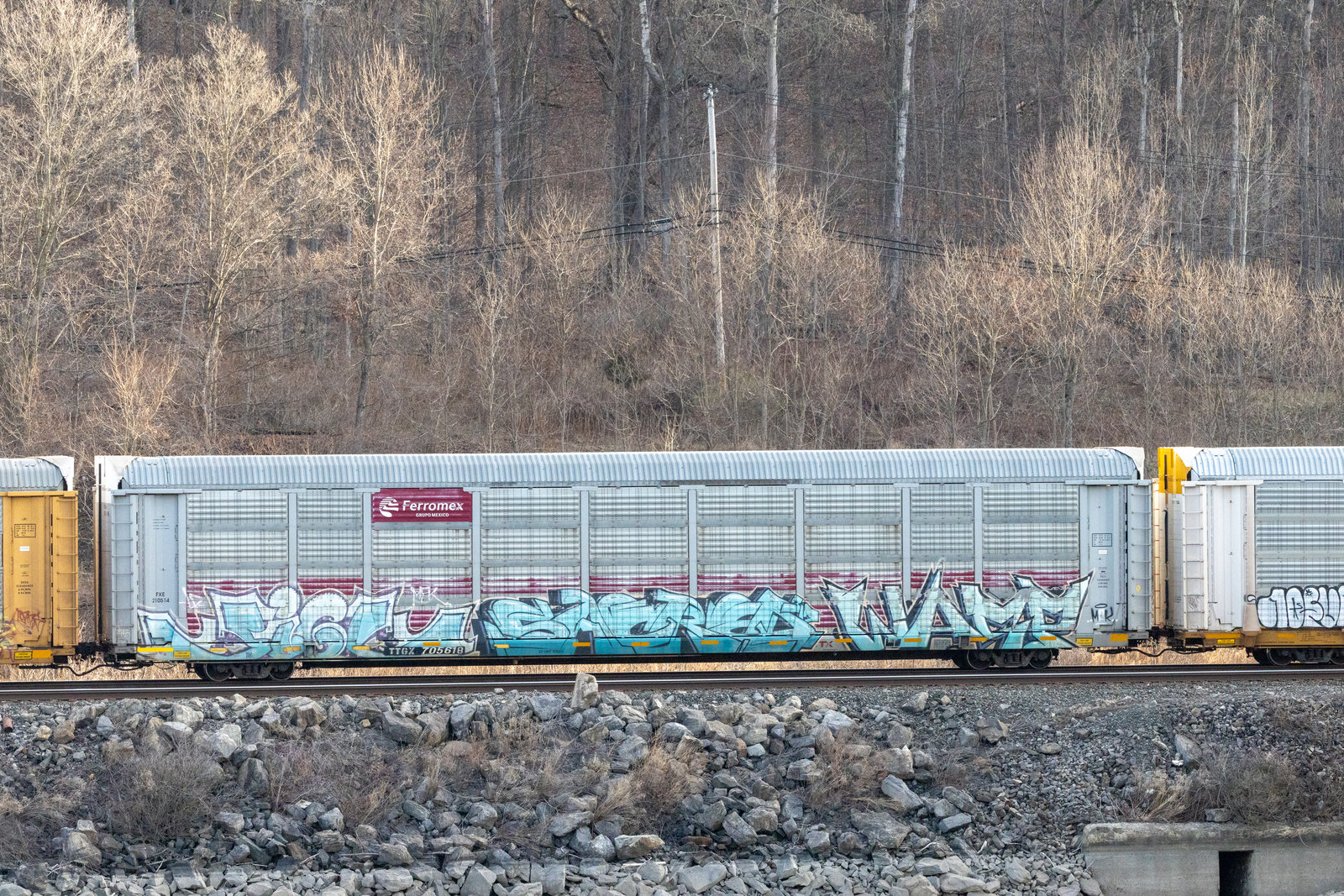 TTGX 705618