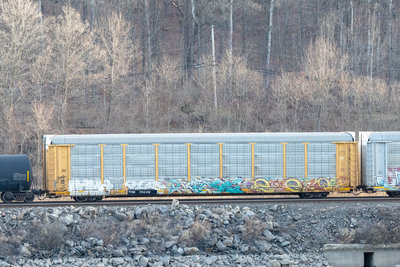 TTGX 702791