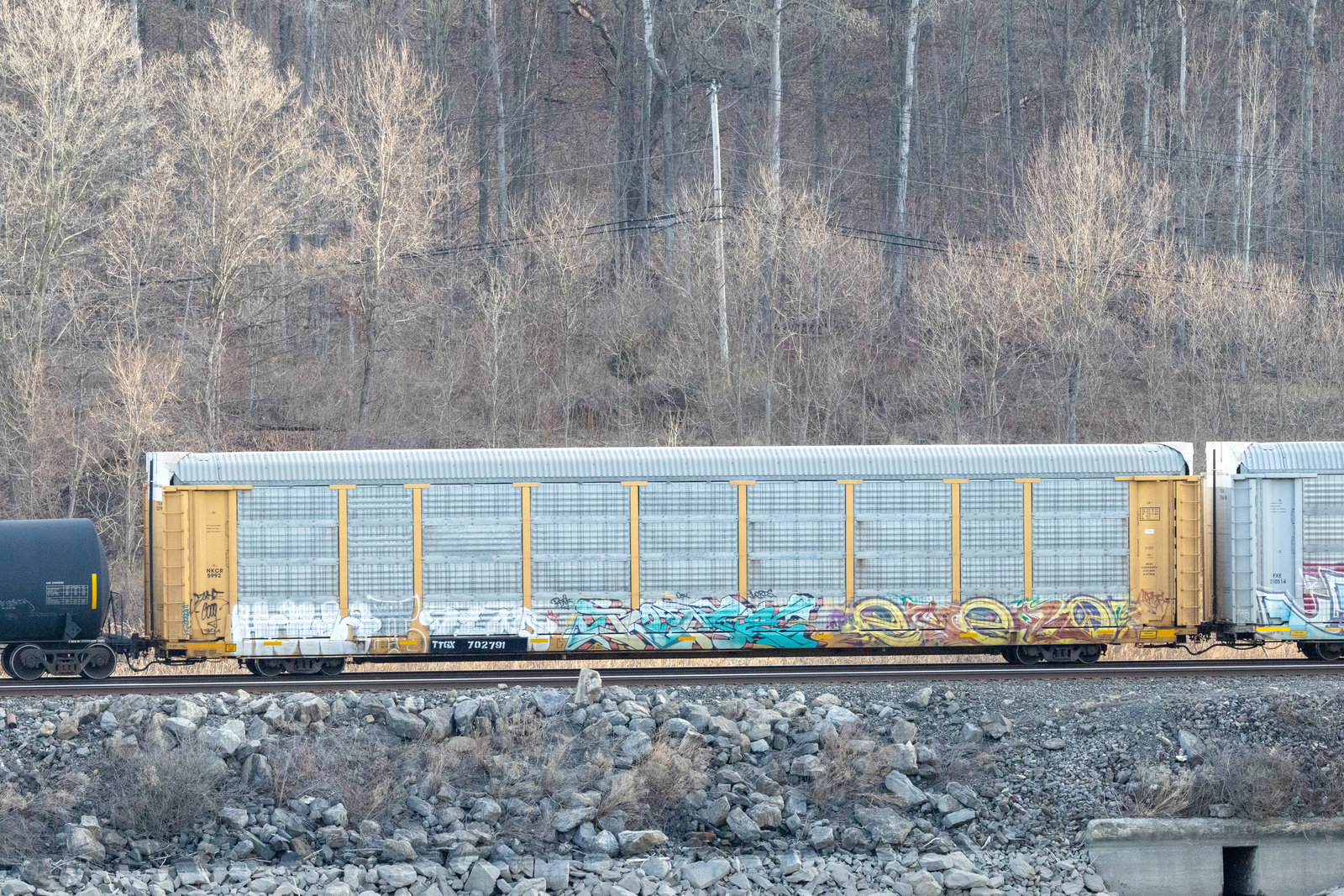 TTGX 702791