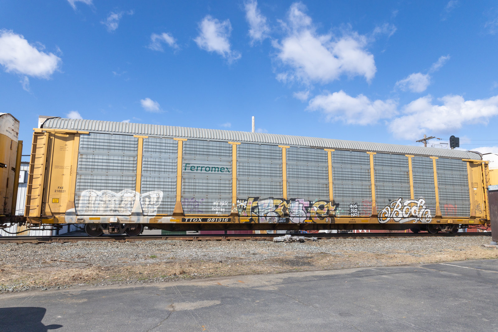 TTGX 981316