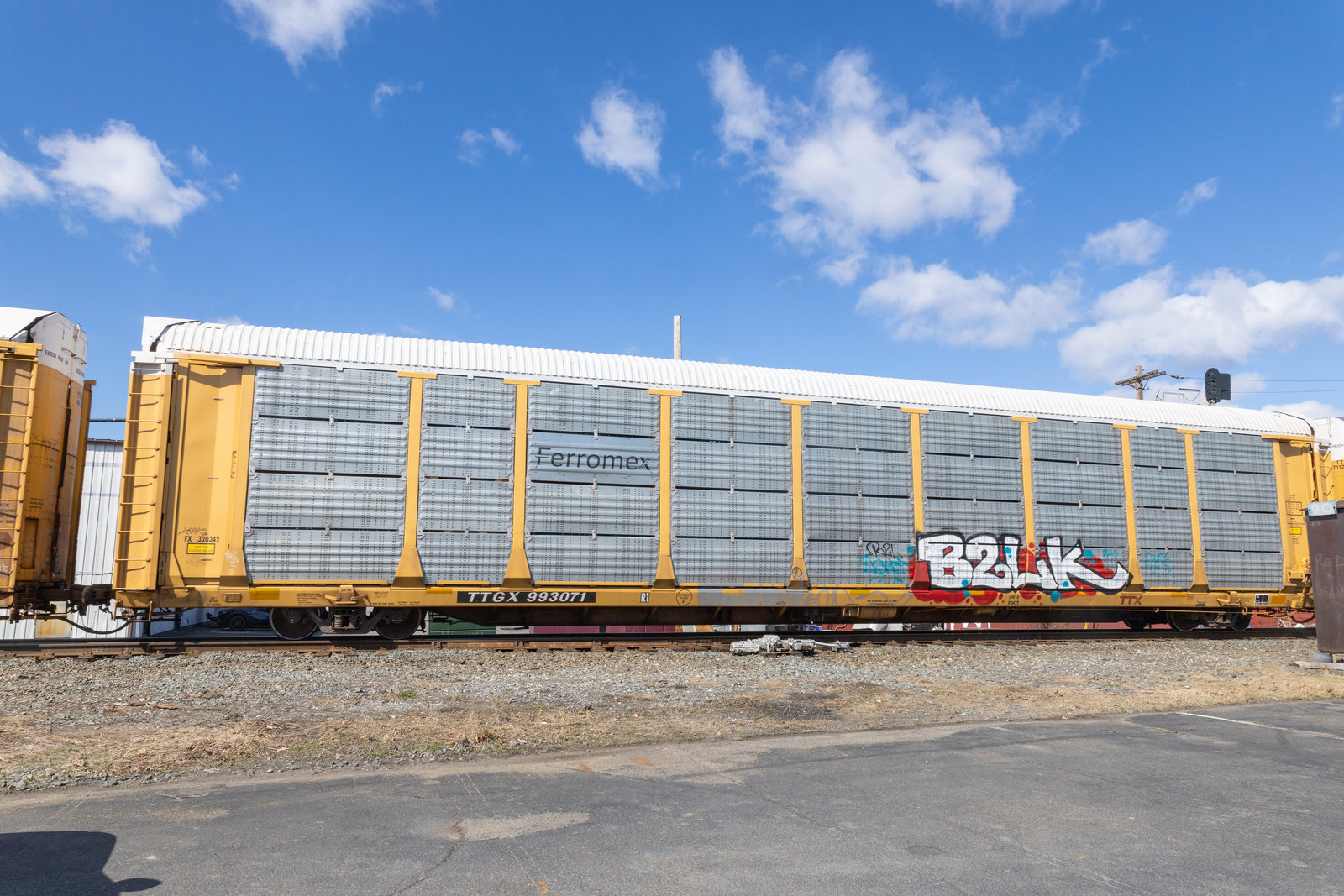 TTGX 993071