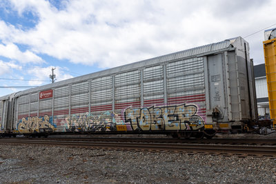TTGX 706511