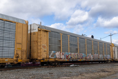 TTGX 942297