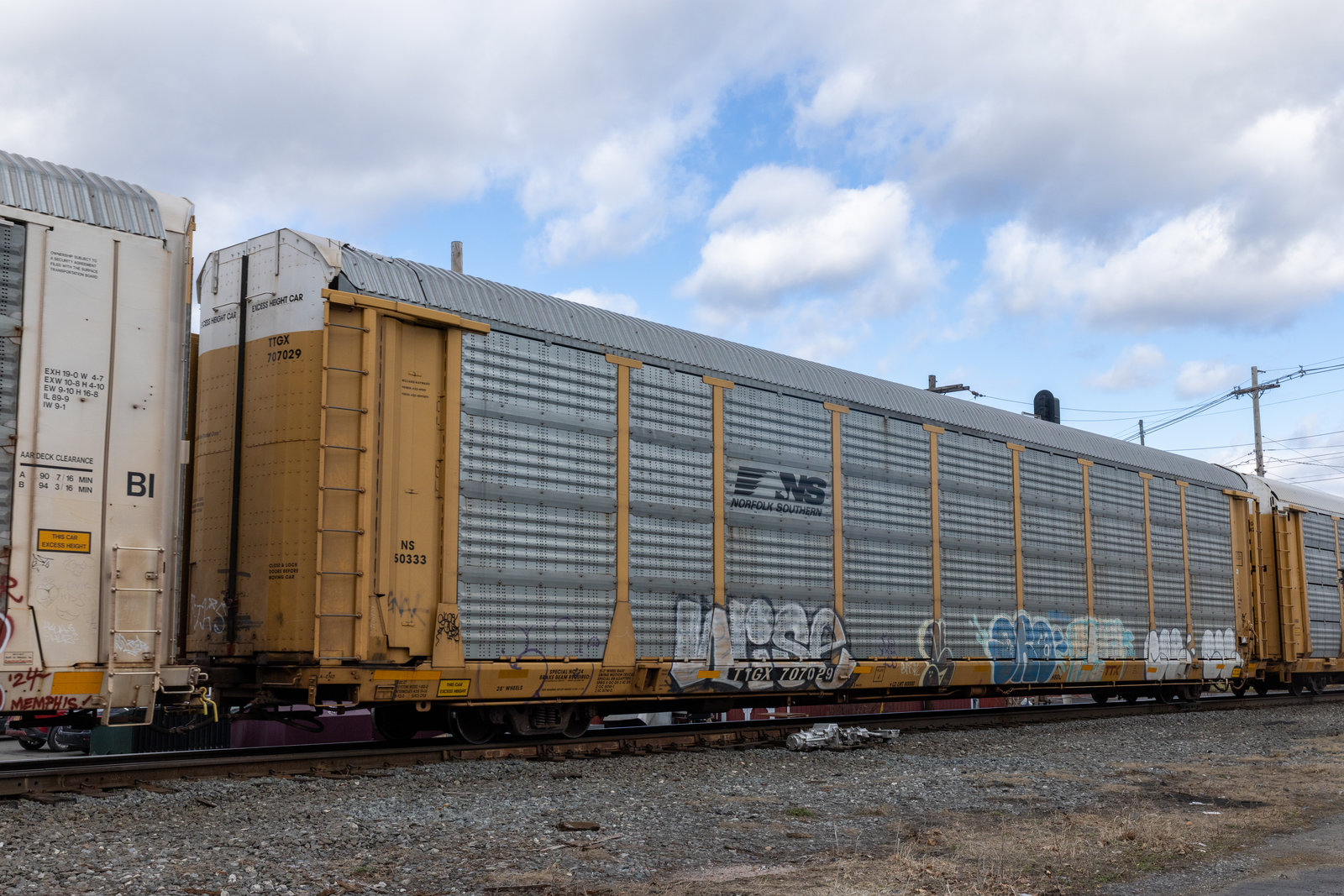 TTGX 707029