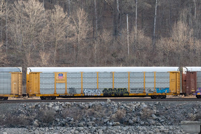 TTGX 979761