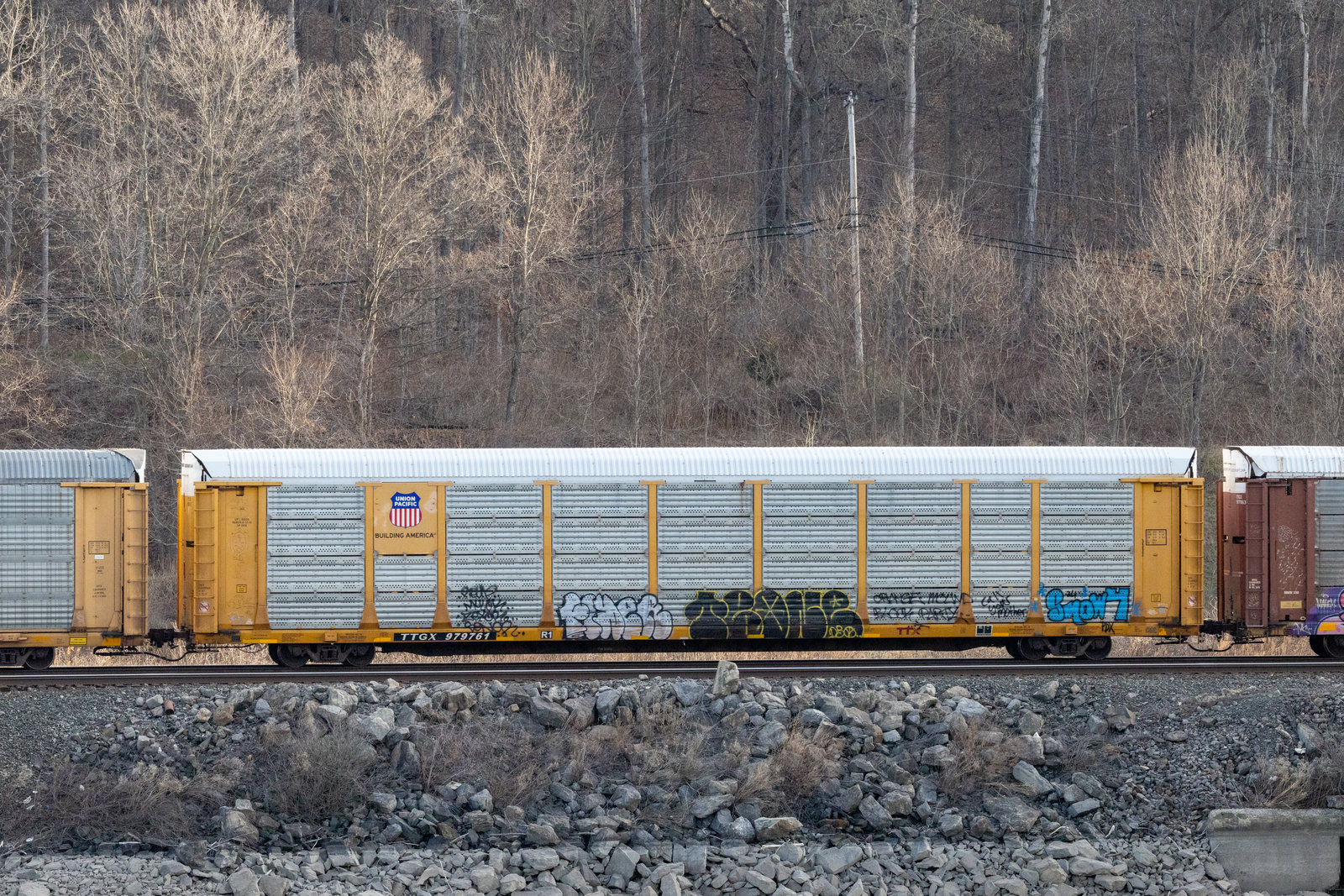 TTGX 979761