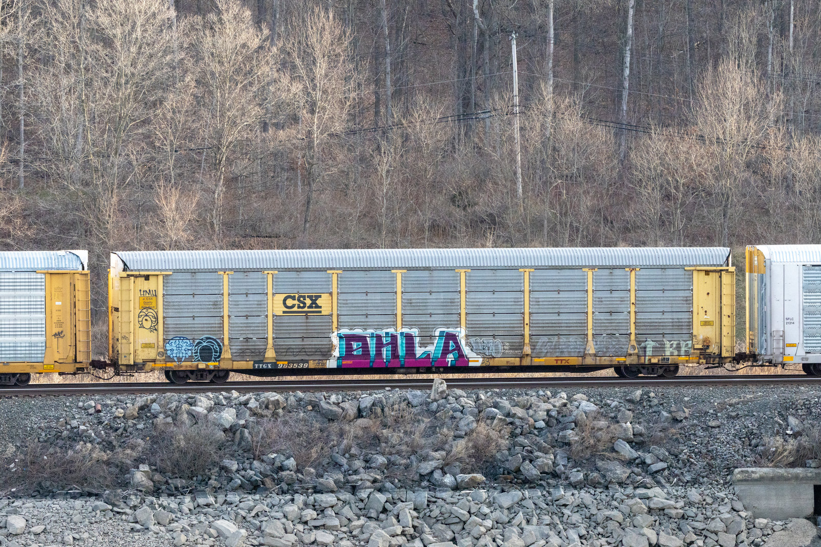 TTGX 983539
