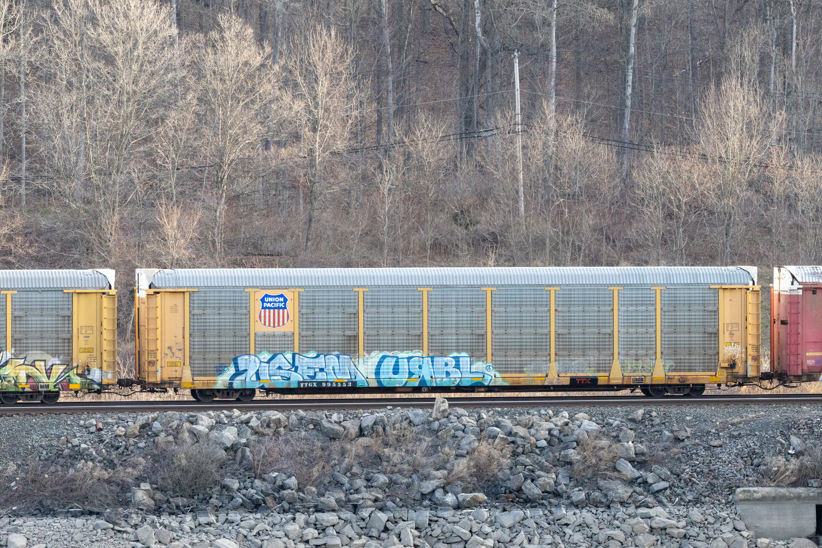 TTGX 995553