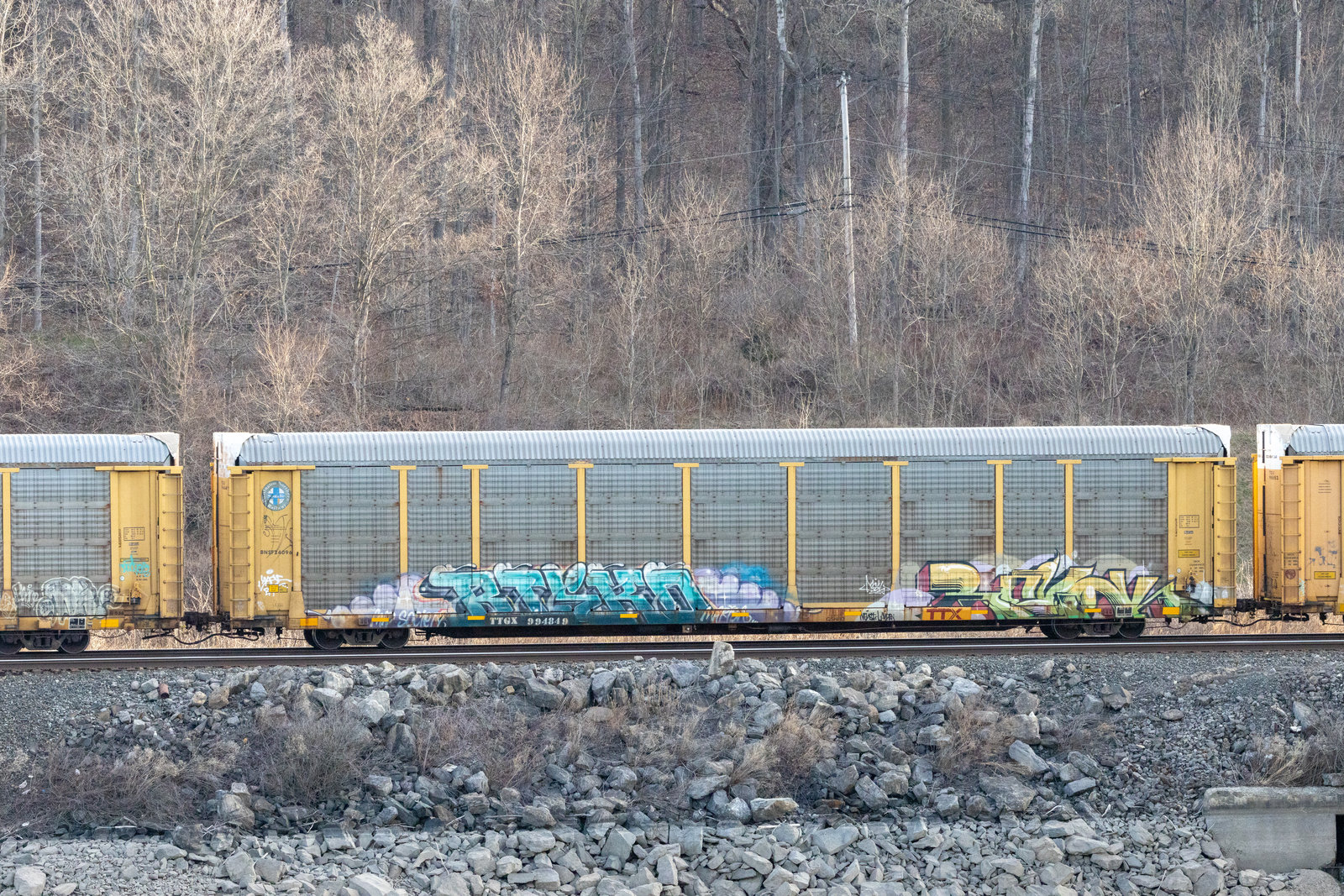 TTGX 994849