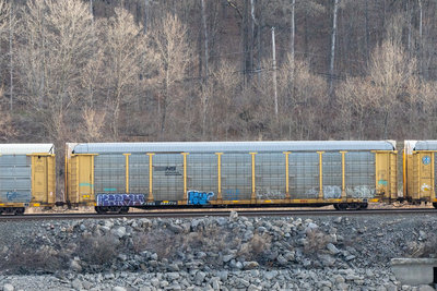 TTGX 983770