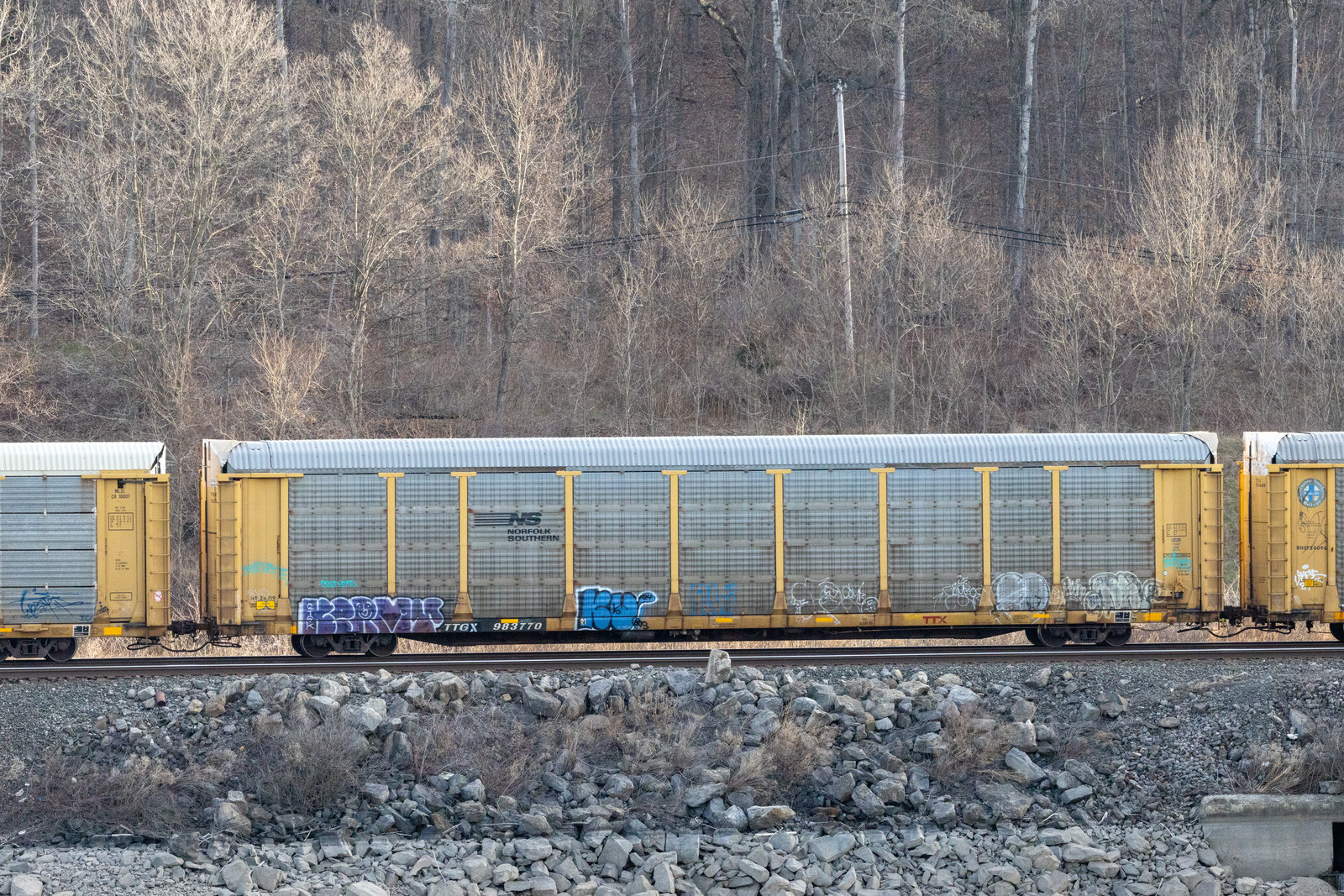 TTGX 983770