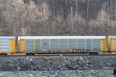 TTGX 990884