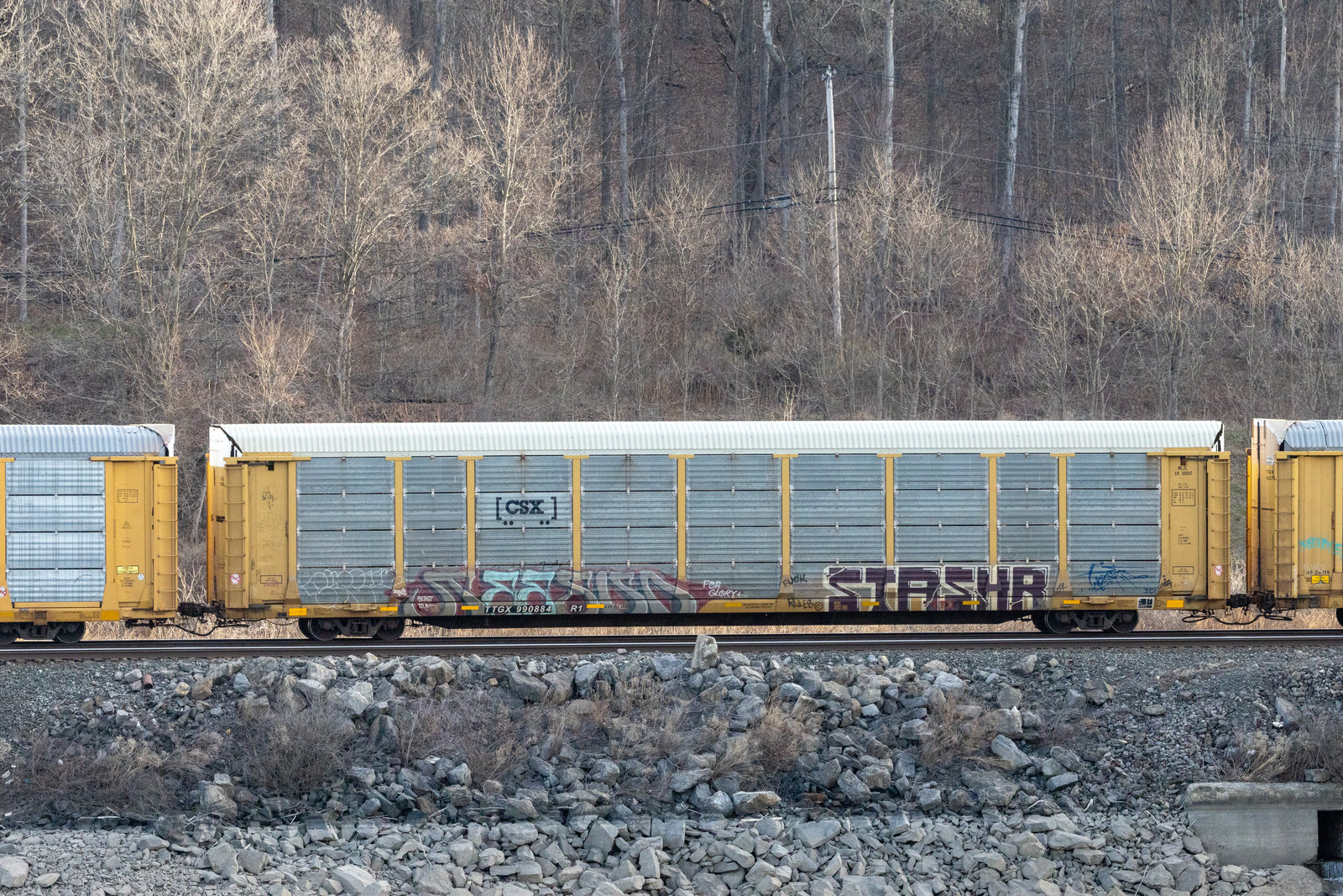 TTGX 990884