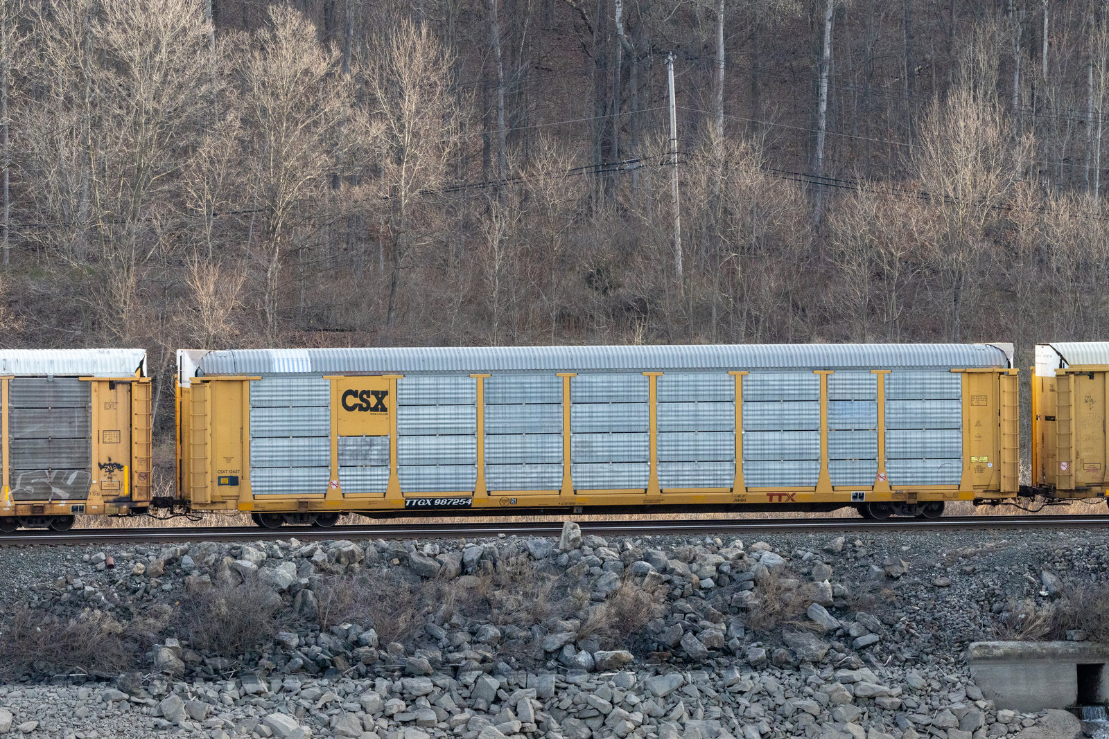 TTGX 987254