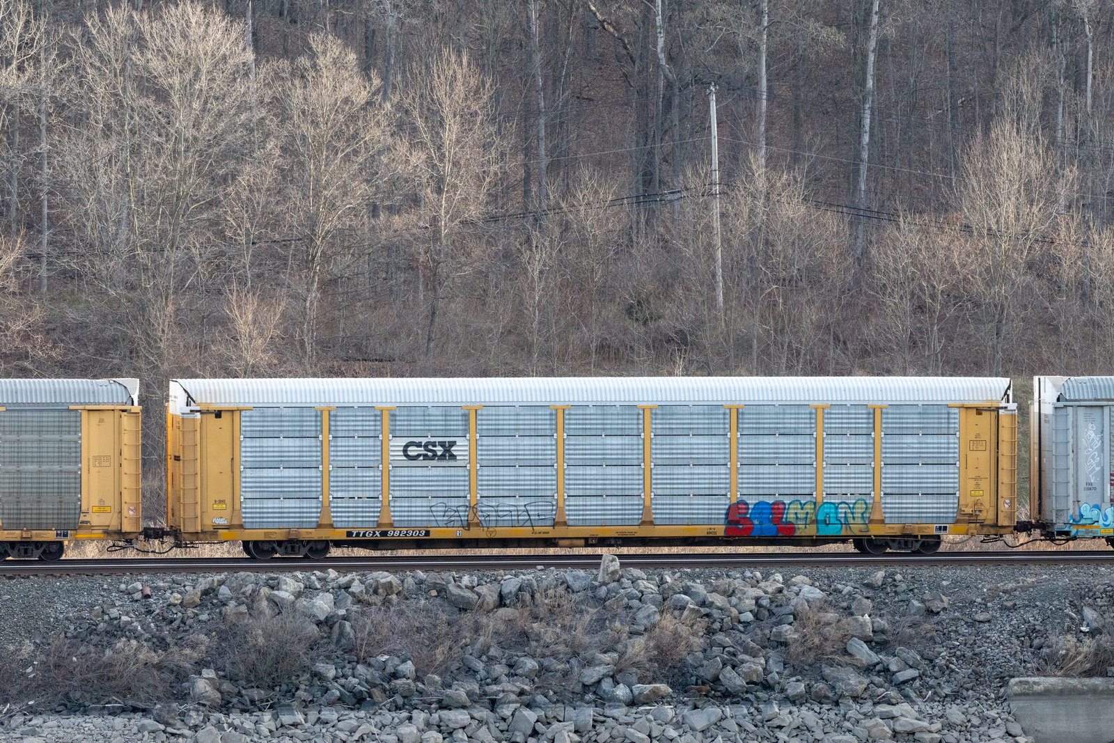 TTGX 982303