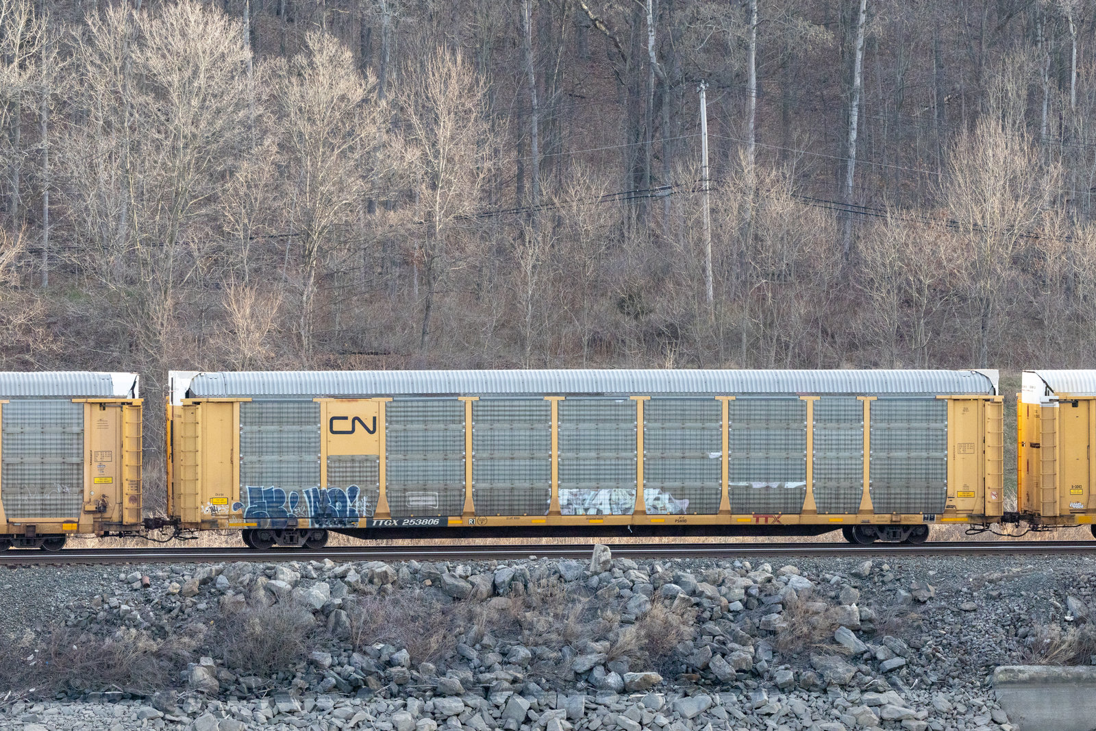 TTGX 253806