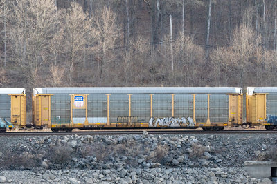 TTGX 985784