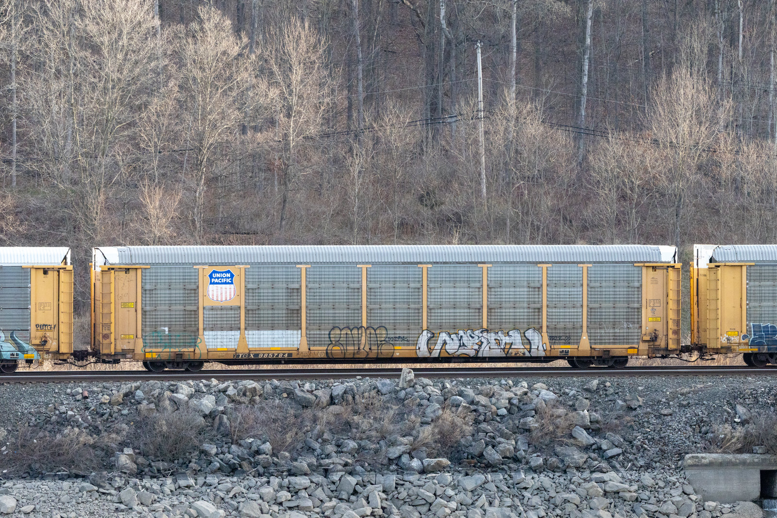 TTGX 985784