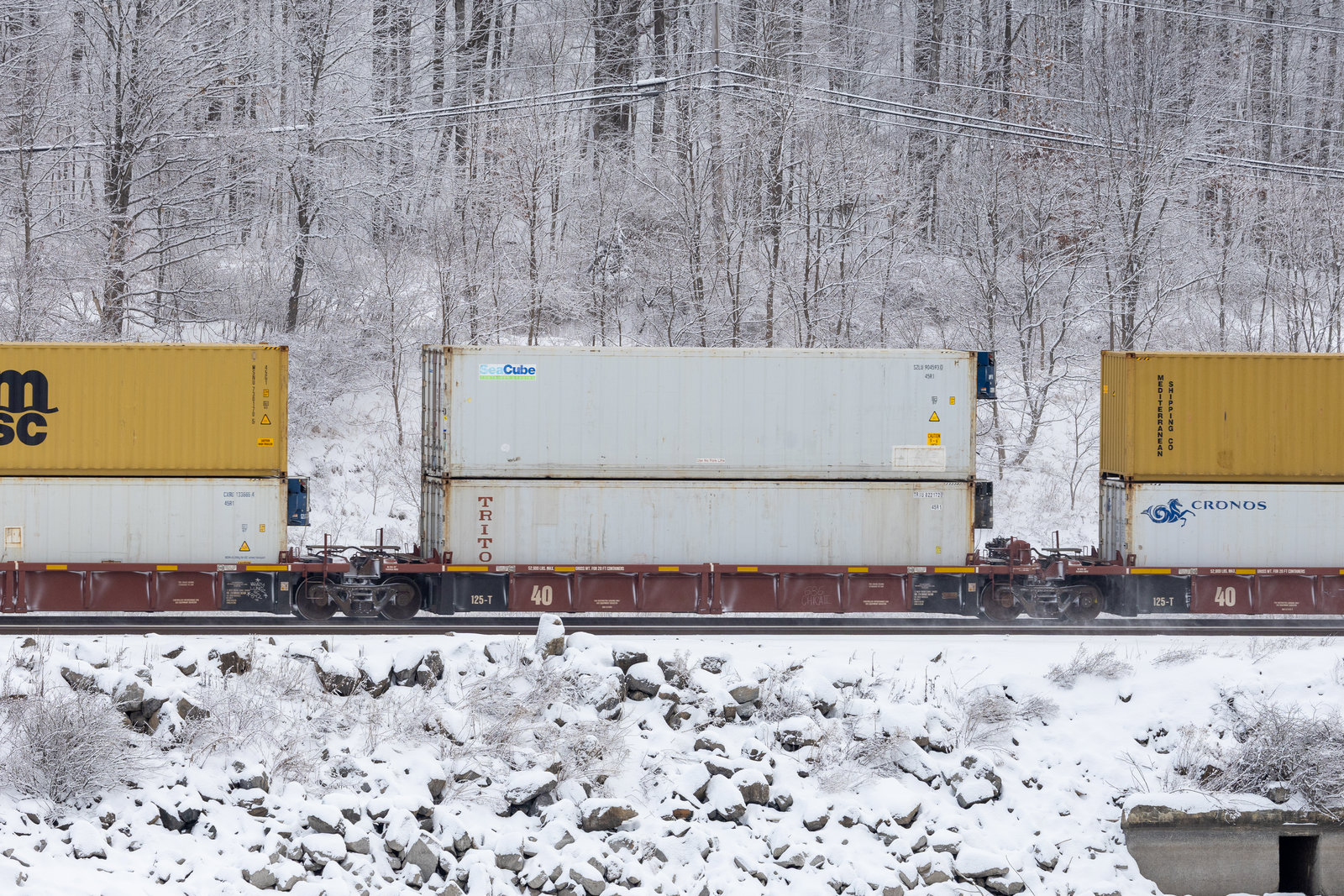 AOK 5248D
