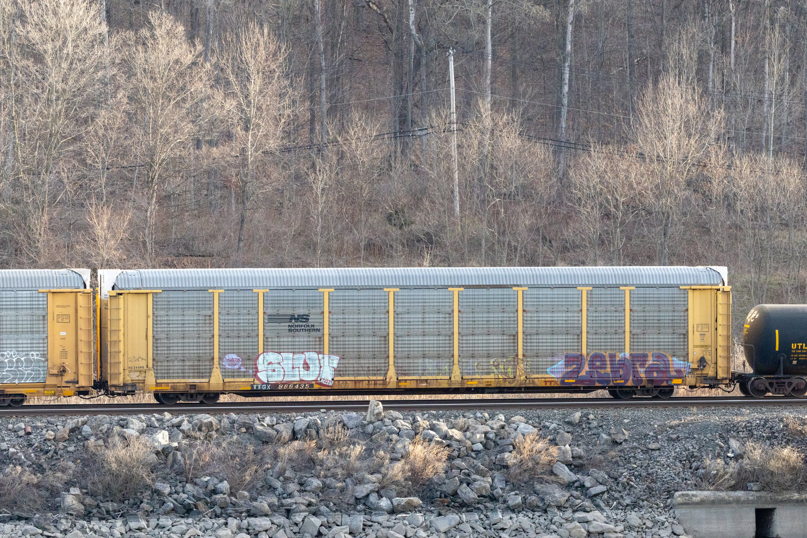 TTGX 986435