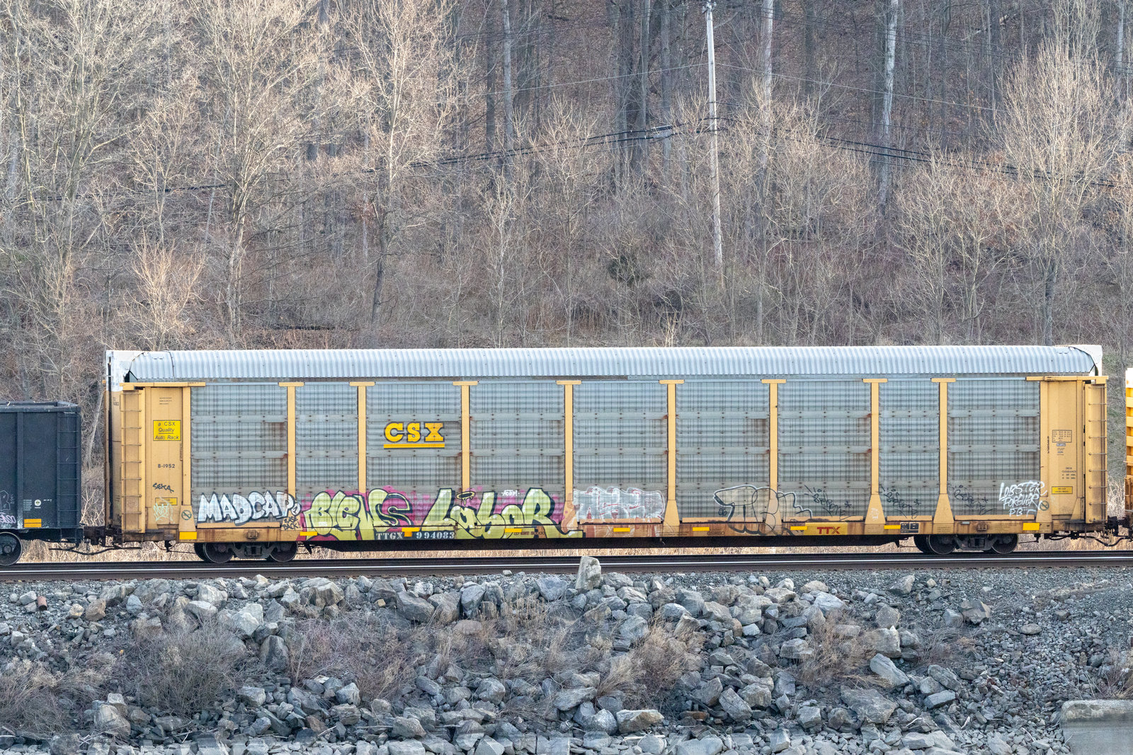 TTGX 994083