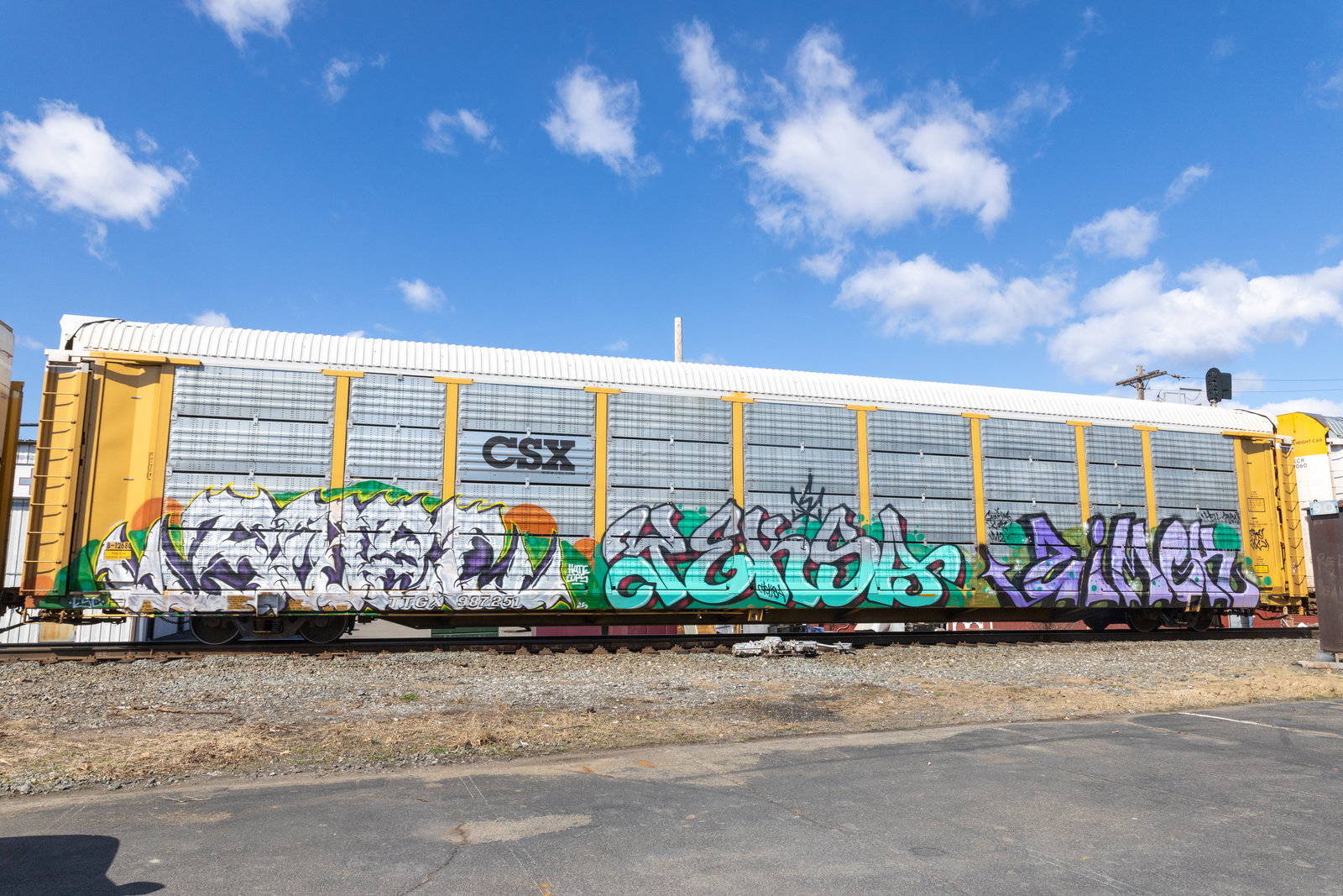 TTGX 987251