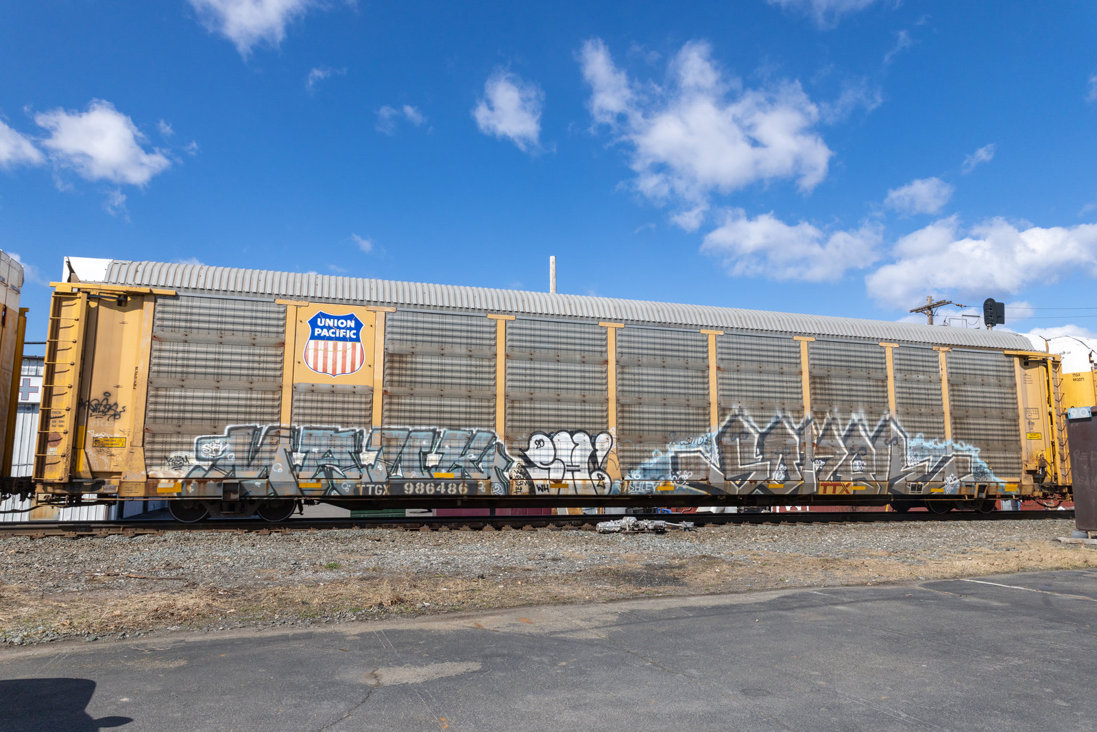 TTGX 986486