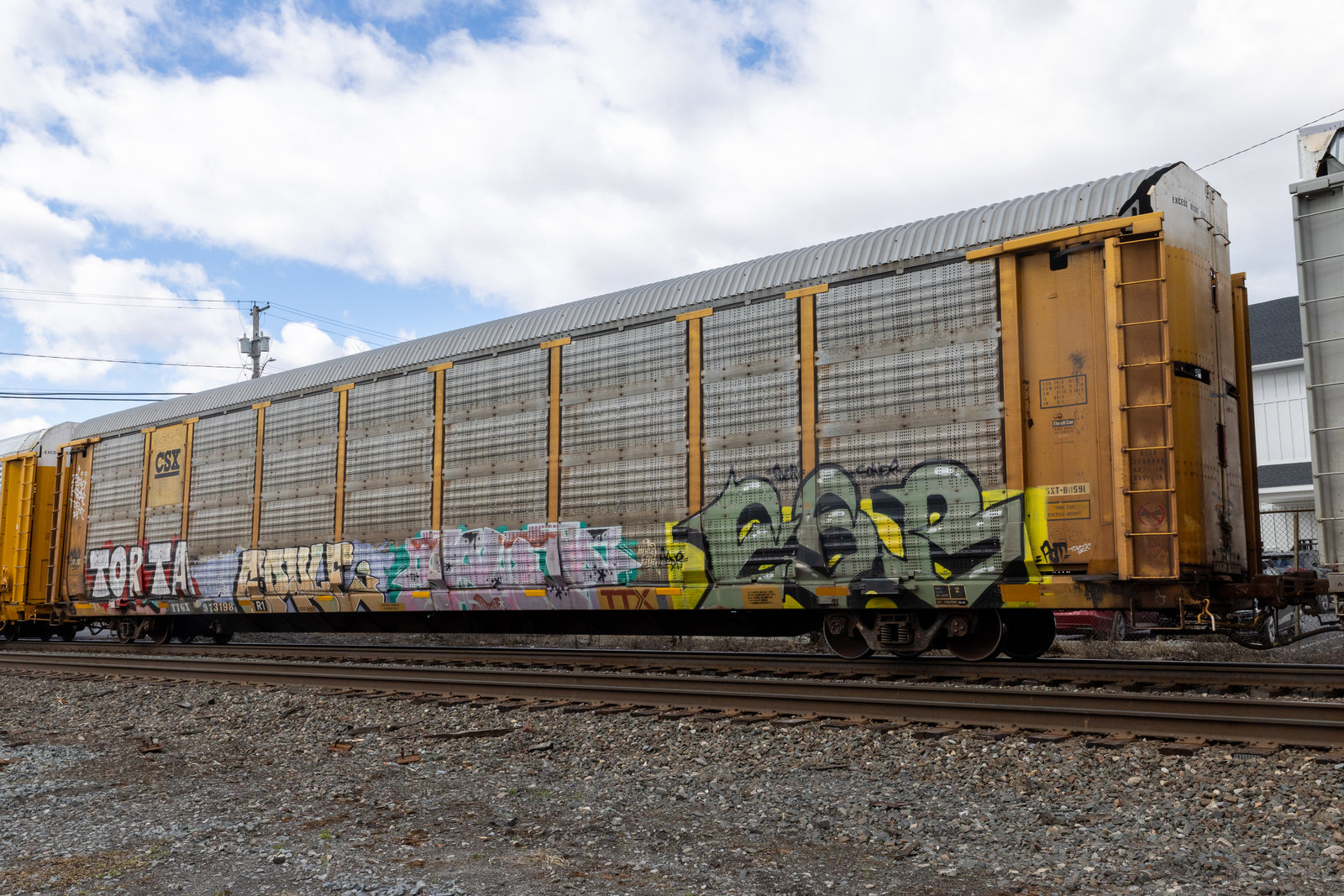 TTGX 973198