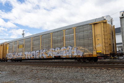 TTGX 952162