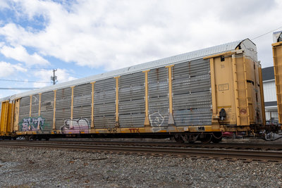 TTGX 158544