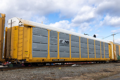 TTGX 985605