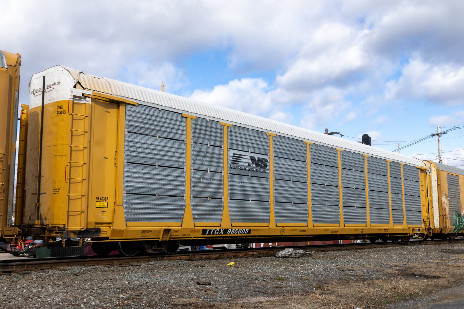 TTGX 985605