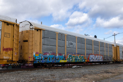 TTGX 965473