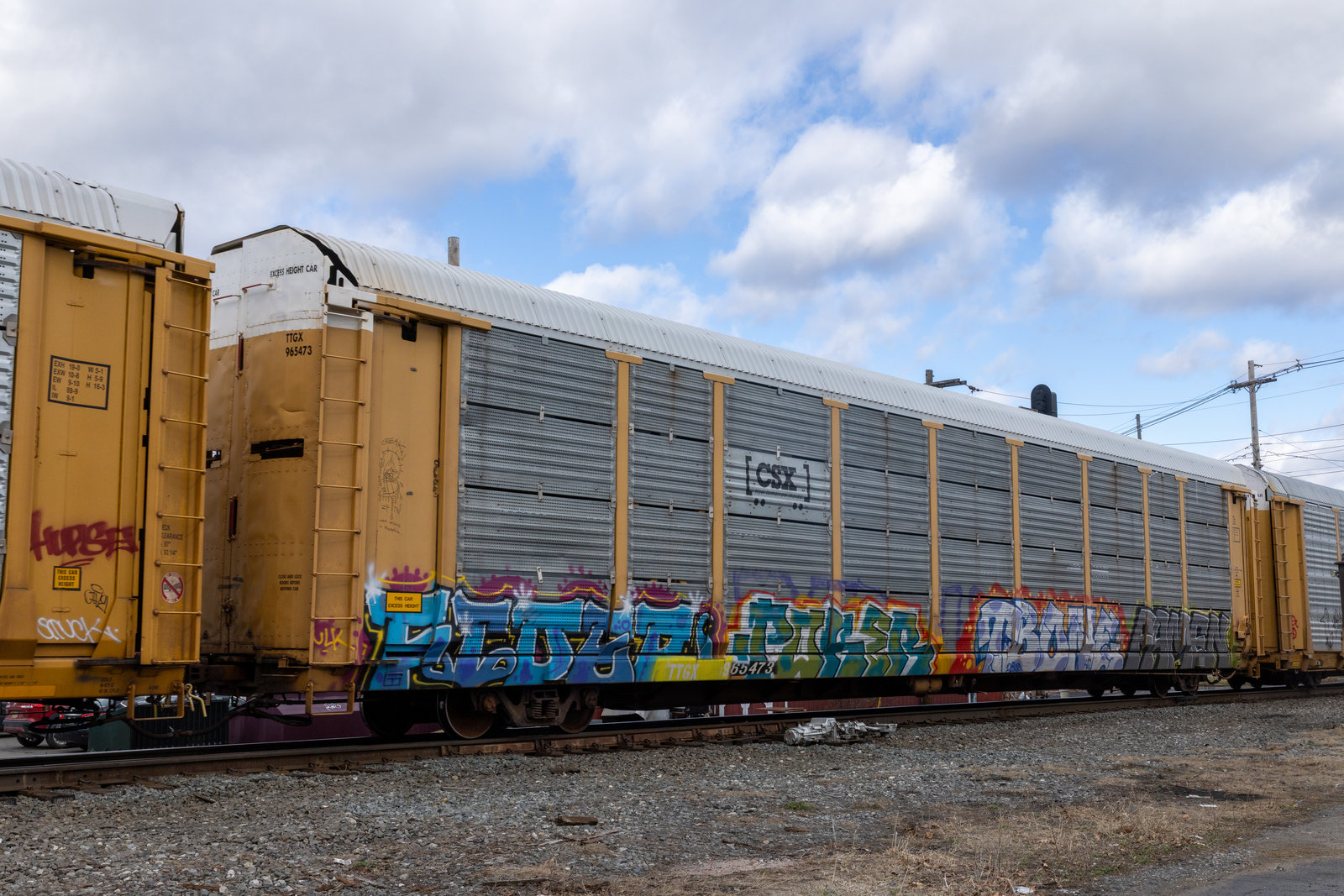 TTGX 965473