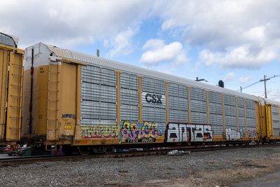 TTGX 996251