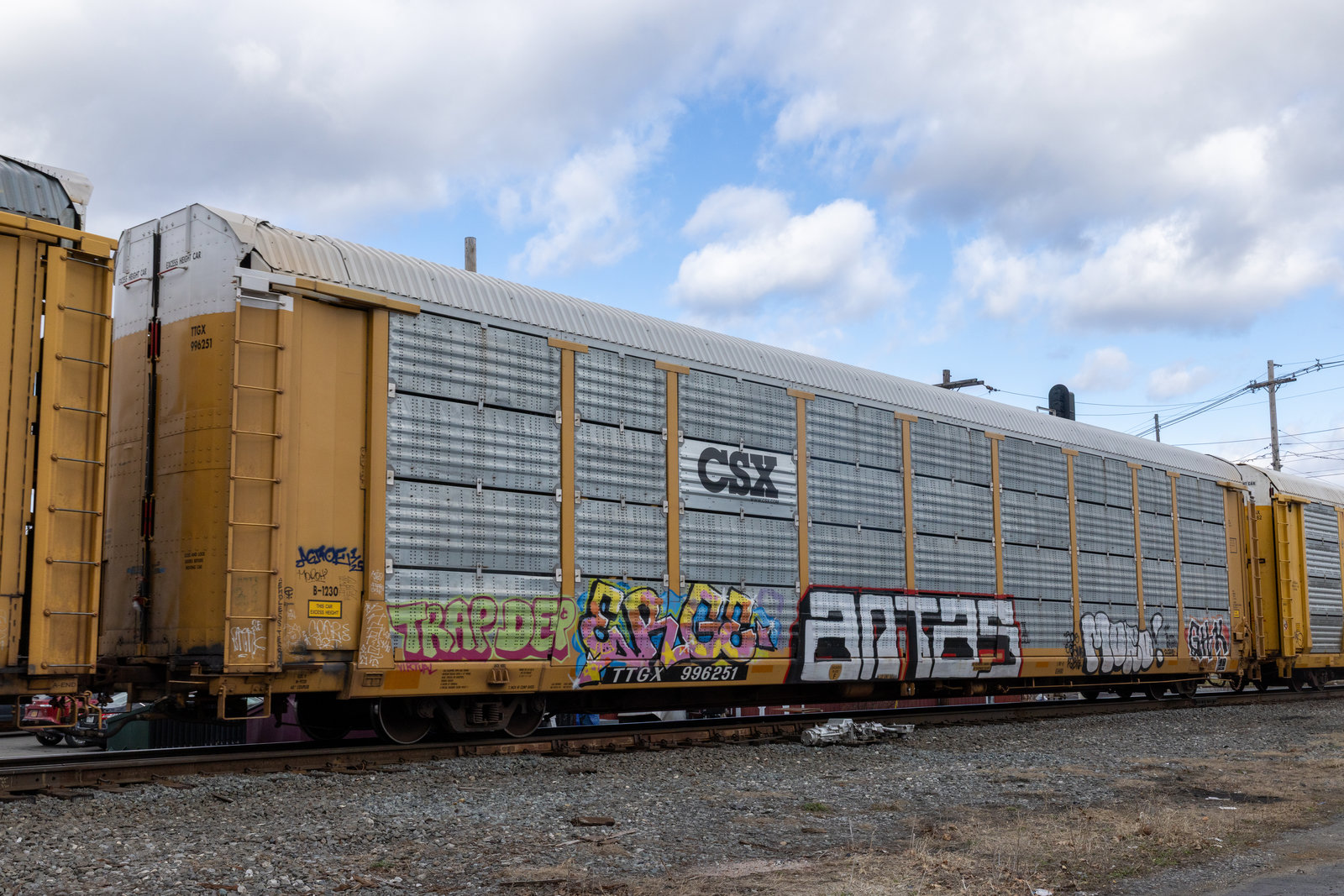 TTGX 996251