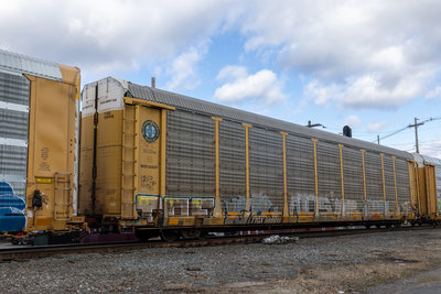 TTGX 988918