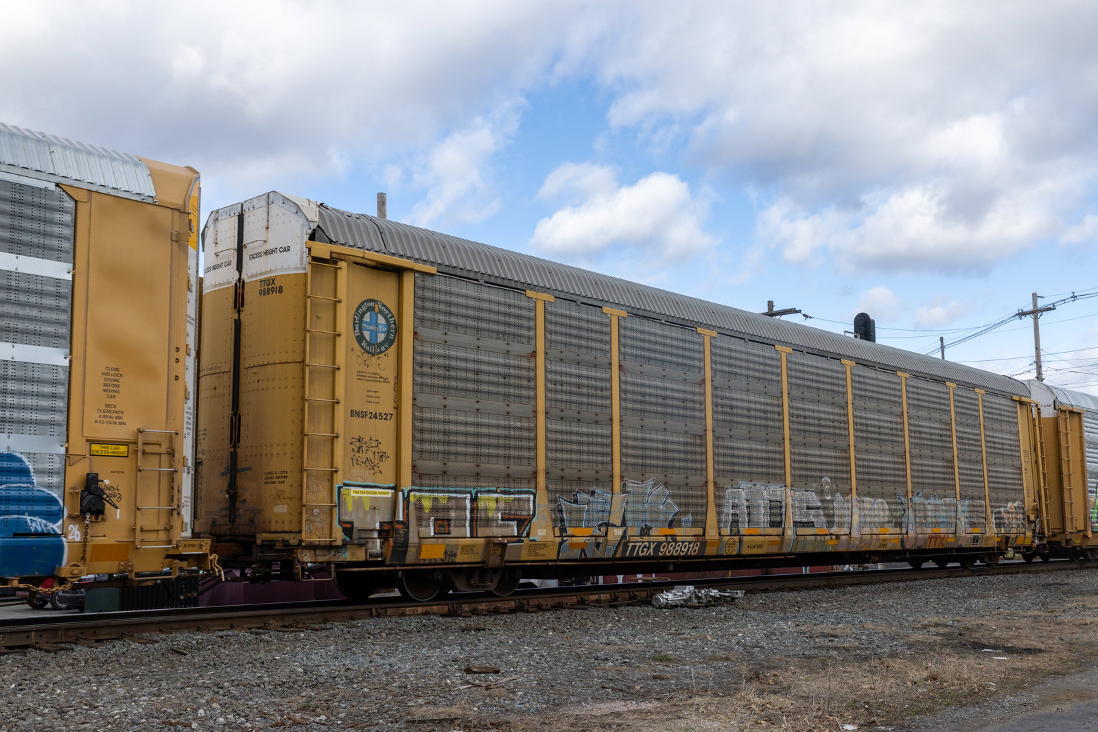 TTGX 988918