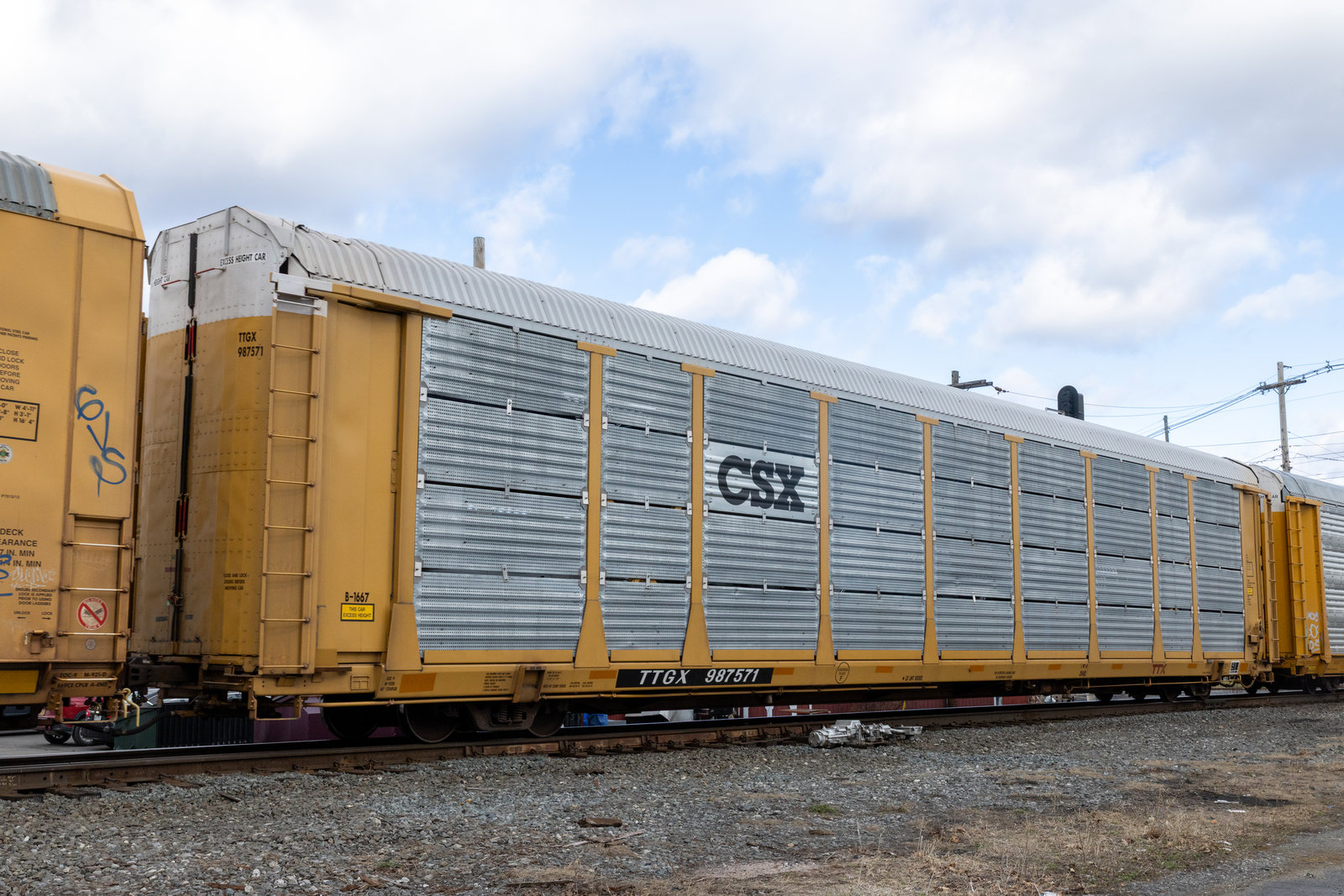 TTGX 987571