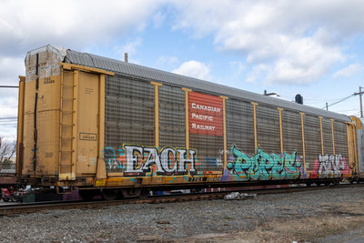 TTGX 988404