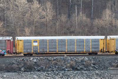 TTGX 942311