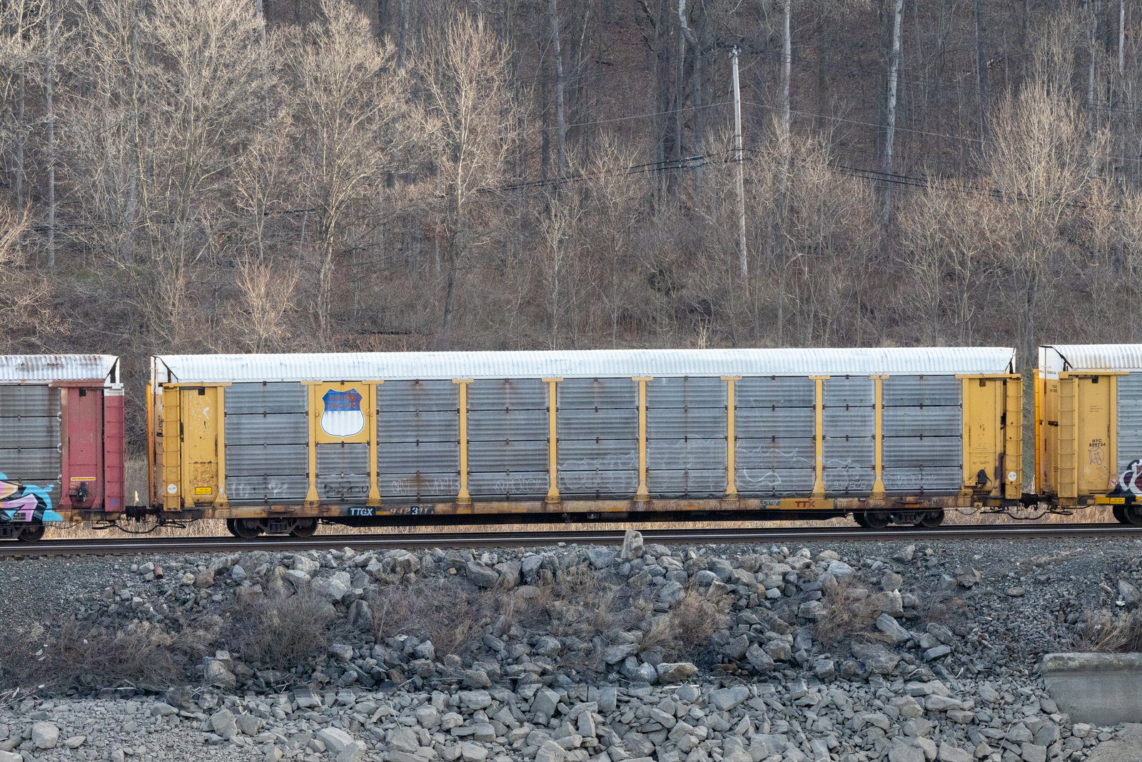 TTGX 942311