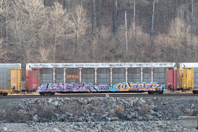 TTGX 977024